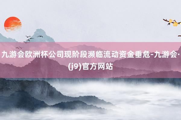 九游会欧洲杯公司现阶段濒临流动资金垂危-九游会·(j9)官方网站