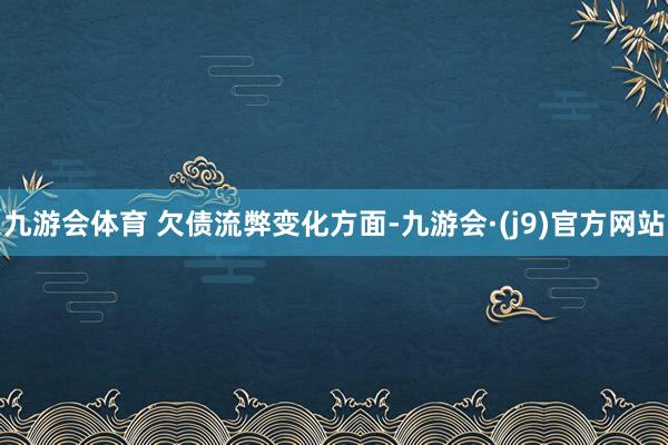 九游会体育 　　欠债流弊变化方面-九游会·(j9)官方网站