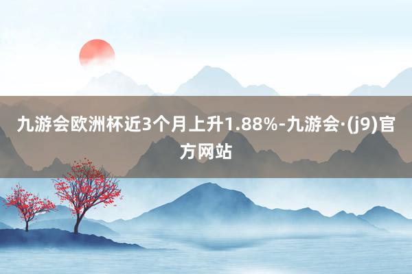 九游会欧洲杯近3个月上升1.88%-九游会·(j9)官方网站